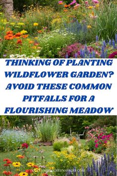 the words thinking of planting wildflower garden? avoid these common pittails for a flourishing meadow