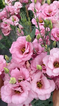 pink flowers are being held by someone's hands