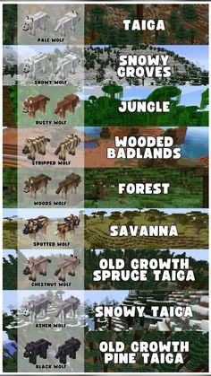 the different types of animals and their names in minecraft, with text overlaying them