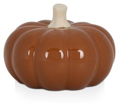 a chocolate pumpkin shaped candy container on a white background