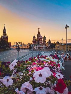 many flowers are in the foreground and people walking on the other side with buildings in the background