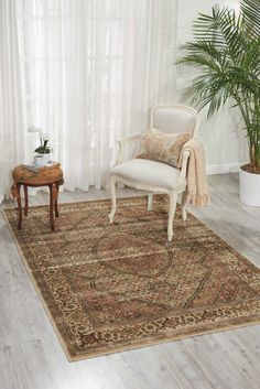 a living room area with a chair, rug and potted plant in the corner