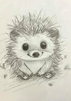 Simple Animal Sketches Pencil, Cute Tiny Animals Drawings, How To Draw Hedgehog, How To Draw Animal Eyes, Easy Hedgehog Drawing, Best Sketches Pencil Drawings, Draw Hedgehog, Giraffe Drawing Easy, Cute Simple Things To Draw