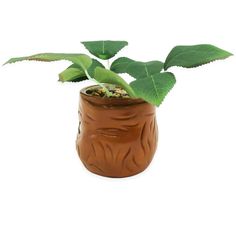 Silver Buffalo Harry Potter Mandrake Face 6-inch Ceramic Planter With Artificial Succulent Harry Potter Mandrake, Enchanting Room, Harry Potter Magic, Artificial Succulents, Faux Succulents, Tall Plants, Real Plants, Room Essentials, Faux Plants