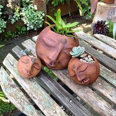 three potted plants sitting on top of a wooden bench next to succulents