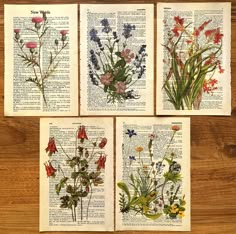 four different types of wildflowers on an old book page, with the pages turned upside down