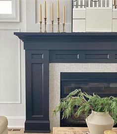 a living room filled with furniture and a fire place covered in a potted plant