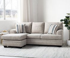 a living room with a sectional couch and potted plant on the floor next to it