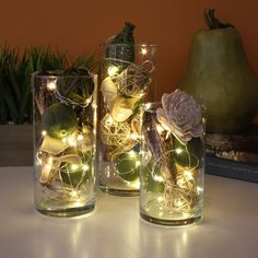 three glass vases filled with plants and lights