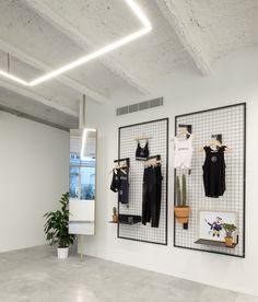 an empty room with clothes hanging on the wall and potted plant next to it