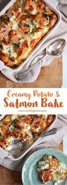 this creamy potato and salmon bake is the perfect side dish