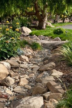 a garden with rocks and flowers in the foreground, along side a tree lined path