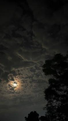 the full moon is shining brightly in the dark sky above some trees and grass on a cloudy night