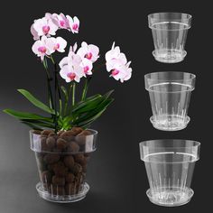 three clear plastic cups with pink flowers in them and some rocks on the ground next to them