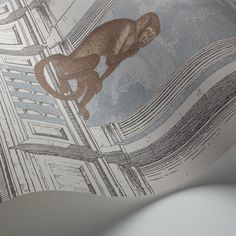 an image of a monkey that is in the air