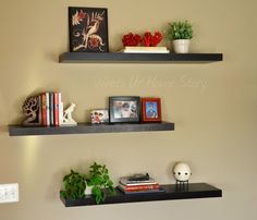 two shelves with plants and pictures on them