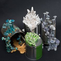 several tin canisters filled with different types of plants and rocks on a black surface