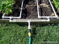 the garden hose is attached to the ground with two plants growing in it and on top of each other