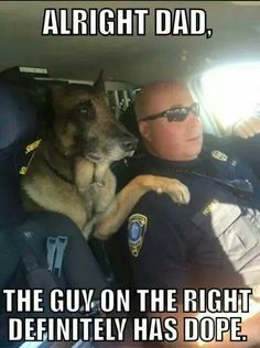 a police officer sitting in the back seat of a car with his dog on his lap