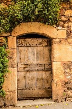 an old wooden door with vines growing on it's sides and in between two stone walls