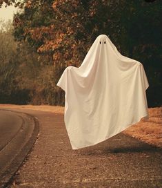 a white cloth draped over the side of a road next to trees with leaves on it