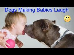 a baby kissing a dog on the nose