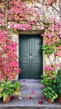 a green door with pink flowers on it next to some bushes and plants in front of it