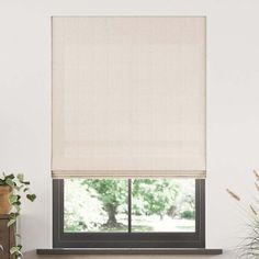 a living room with a fireplace and large window covered in white roman blind shades, along with a potted plant