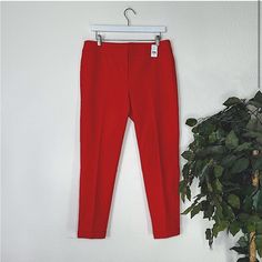 52% Cotton 45% Polyester 3% Elastane Size 10 Red A Brand New Pair Of Gorgeous Bright Red Loft Pants With All Fake Pockets. Skinny Style Slacks With A Cuffed Bottom. 3 Buttons And A Zipper Closure. Classic Red Bottoms For Business Casual, Red Fitted Dress Pants For Business Casual, Fitted Red Dress Pants For Business Casual, Classic Fitted Red Bottoms, Tailored Classic Red Bottoms, Red Straight Leg Dress Pants For Spring, Tailored Classic Red Pants, Classic Tailored Red Bottoms, Classic Tailored Red Pants