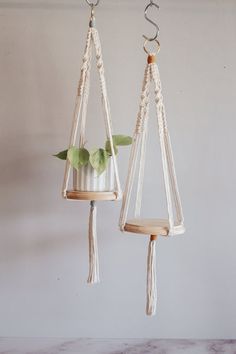 two hanging planters with plants in them