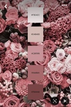 a bunch of flowers that are in the middle of a color swatch with different shades