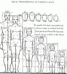 an image of the human body with different types of men's bodies and their measurements