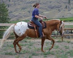 a woman riding on the back of a brown and white horse