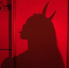 the shadow of a man's head on a red wall