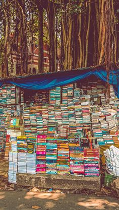 there are many books on display in the woods