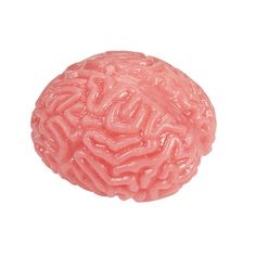 a pink ball shaped like a brain on a white background