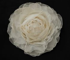 a white flower on a black background with the petals pulled back to reveal it's center