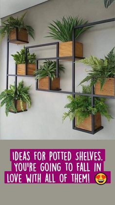 a wall mounted planter filled with lots of green plants