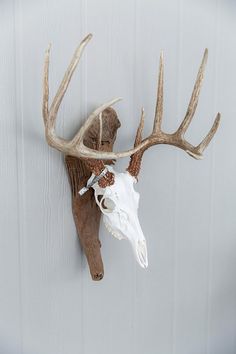 a deer's head mounted to the side of a wall with antlers on it