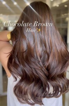 30 Best Brown Hair Colors to Inspire You Undertones Hair, Rich Brown Hair, Hair Color For Dark Skin, Global Hair, Balayage Hair Color, Chocolate Brown Hair Color, Hair Color Chocolate, Brown Hair Looks