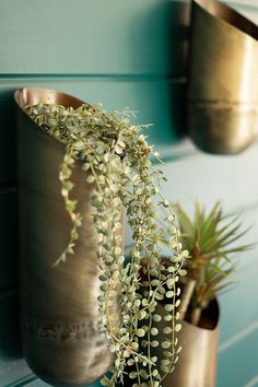 two metal vases with plants in them on a wall next to a blue painted wall