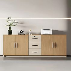 an empty room with a white wall and wooden cabinetry on the floor, near a potted plant