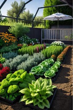 a garden filled with lots of different types of plants