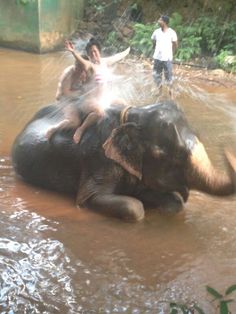 two men are riding an elephant in the water