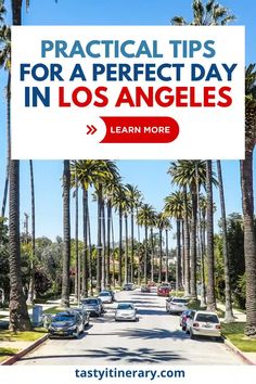 palm trees line the street with text overlaying practical tips for a perfect day in los angeles learn more