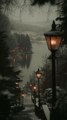 a street light sitting on the side of a snow covered road next to a lake