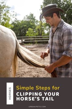 Keep your horse looking neat and tidy with this step-by-step guide to tail clipping. Learn the tools, techniques, and safety tips needed for a successful grooming session. Perfect for horse owners who want to maintain their equine’s appearance with confidence, this guide makes tail clipping a simple and stress-free process.