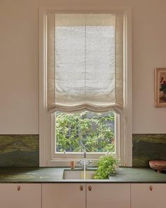 a kitchen with a sink, window and plants on the counter top in front of it