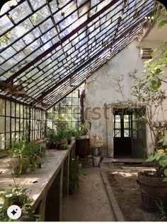 an old greenhouse with lots of plants and potted plants on the tables in it