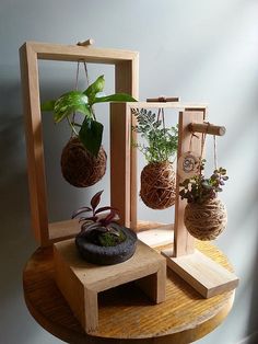 some plants are hanging from wooden frames on a table with a potted plant in it